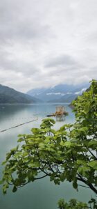 Фото отзыва