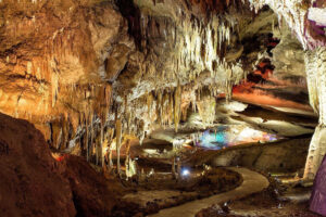 Фото отзыва