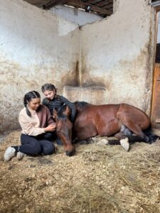 Фото отзыва